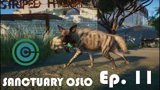 Building a Hyena Habitat so Someone Laughs at My Jokes  Episode 11 [upl. by Manon]