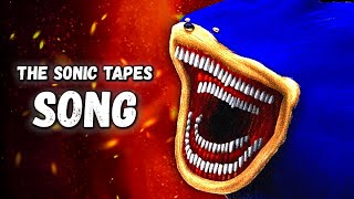 THE SONIC TAPES SONG  Shin Sonic  by MORS [upl. by Georgina]