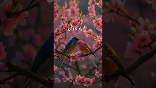 Colourful birds videos beautiful Nature birds all kinds animals videos shorts [upl. by Gretel311]