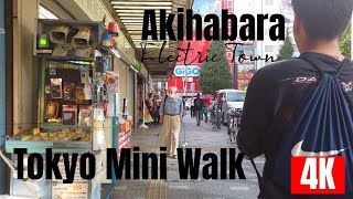 Tokyo Akihabara Mini Walk in 4K [upl. by Domela150]