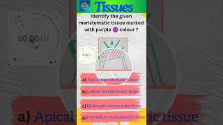 Tissues Part 14 Plant tissues  Class 9 Science  Meristematic tissues  shorts [upl. by Aihsele]