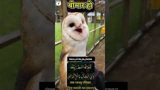 Livar se nijaat ki dua duain duaqabool islamicprayer [upl. by Siroval]