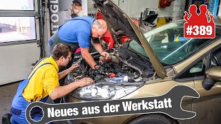 Fiesta mit zu hoher LeerlaufDrehzahl  LiveDiagnose  Schon 1000€ ausgegeben MazdaAGRProbleme [upl. by Llenrev]