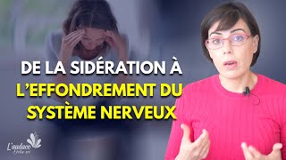 Les traumatismes de lenfance et la sidération prolongée P1  Le dérèglement du système nerveux [upl. by Cristi]