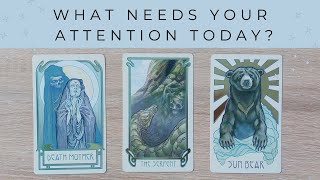 what needs your attention today 🐦🌱☀️ • timeless pick a card tarot reading [upl. by Yednarb]