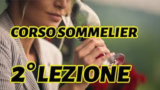 FISIOLOGIA DEI SENSI  Corso per sommelier di 1° livello [upl. by Yrohcaz267]