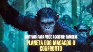 PLANETA DOS MACACOS O CONFRONTO  O POR QUE VOÇÊ PRECISA ASSISTIR series netflix sucesso filmes [upl. by Edmonda]