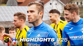 Highlights I DJK Vilzing 12 FV Illertissen I 25 Spieltag RL Bayern [upl. by Pachton596]