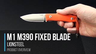 LionSteel M1 M390 Fixed Blade Overview [upl. by Waterman]