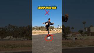 Roundhouse kick Tutorial [upl. by Ion]