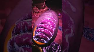 mitochondria 3D animation medical world [upl. by Ume476]