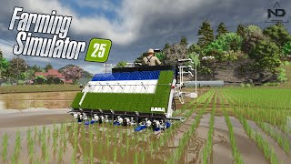 Farming Simulator 25 3  Khám Phá Quy Trình Trồng Lúa Nước Thực Tế [upl. by Otrevogir]