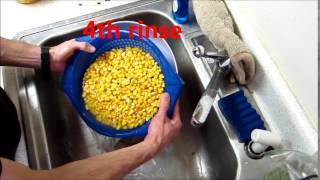 How to make incredible tortillas from scratch from cheap fieldfeed corn [upl. by Kcirdderf]