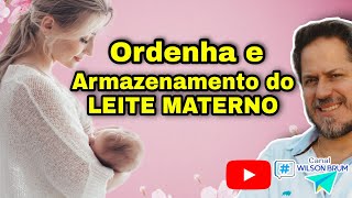 Armazenamento de LEITE MATERNO após ordenha  Como guardar quanto tempo dura o LEITE MATERNO [upl. by Nomyar]