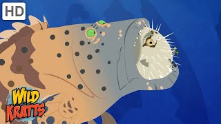 Creature Battles  Every Creature Showdown Part 12 Wild Kratts [upl. by Alec]