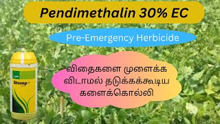 BASF  Stomp EC  Pendimethalin 30EC  Tamil  Herbicide  control of some seed germination [upl. by Odragde]