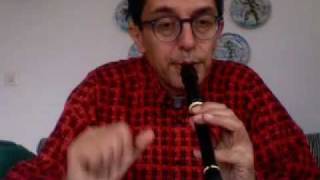 music lesson 2 first steps with a descant recorder [upl. by Charleton]