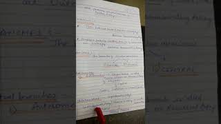 Circle of Willis 20marksanatomy [upl. by Morganica526]