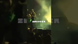 Смысл Zwitter Rammstein за 35 секунд rammstein смысл performance [upl. by Dennet]