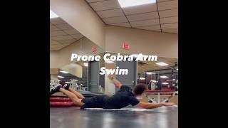 Prone Cobra Arm Swim trainlikethepros [upl. by Elladine]