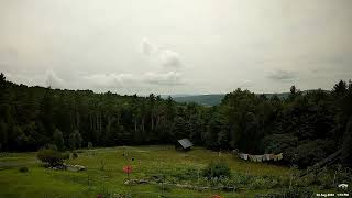 August 04 2024  Vermont Timelapse [upl. by Braasch]