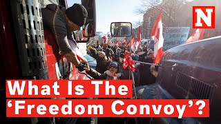 What Is The ‘Freedom Convoy’ And Why Are Truckers Boycotting In Canada [upl. by Abdel]