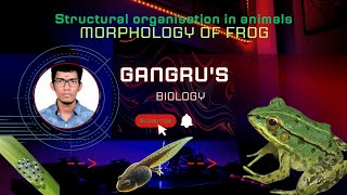 Morphology of frog in tamil NCERT line by line [upl. by Nagol803]