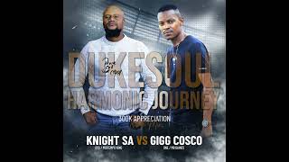 Knight SA amp Gigg Cosco  300K Appreciation Mix Harmonic Journey To DukeSoul [upl. by Elleraj]