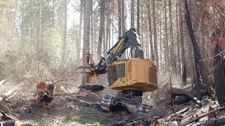 Idaho Logging  Feller Buncher  Hot Saw  Tigercat LX830D [upl. by Codi294]