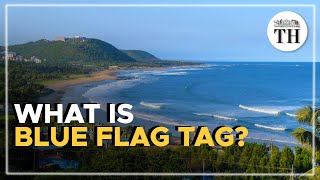 What is Blue Flag tag [upl. by Howey]