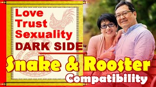 Snake and Rooster Compatibility in Love Life Trust Intimacy  Snake amp Rooster Zodiac Compatibility [upl. by Nel]