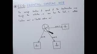 ECG Basics  Normal Frontal Cardiac Axis  RightAxis Deviation  LeftAxis Deviation [upl. by Anim509]