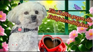 Ein Kaffee ☕ gegen die Frühjahrsmüdigkeit 🪻liebe Grüße für einen schönen Tag 🌺 [upl. by Amzu]