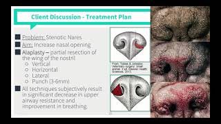 Brachycephalic Airway Syndrome VICE Rounds [upl. by Lohman]