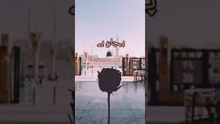 Main Ghulam e Mustafa hoon beautifulnaat madina shorts [upl. by Lindgren]