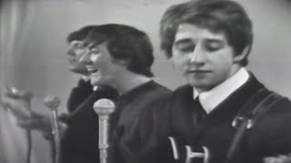 The Hollies – Pop Medley 1965 [upl. by Yelyk798]