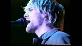 Nirvana  Breed Live in Argentina 1992 [upl. by Ines246]