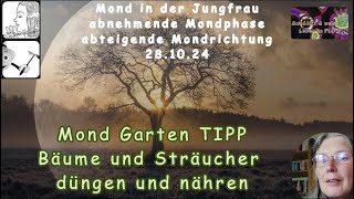 Mond Garten TIPP  Bäume und Sträucher jetzt düngen und nähren [upl. by Davidoff]