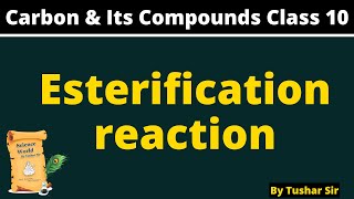 Esterification reaction class 10  what is esterification class 10  Carbon amp its compound class10 [upl. by Einor595]