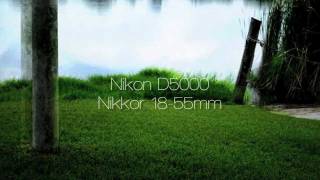 Nikon D5000 Video test HD [upl. by Arawaj]