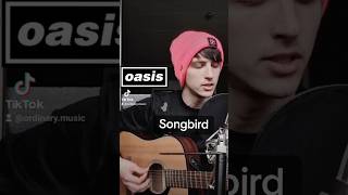 Oasis  Songbird Cover 🩷🖤  oasis songbird cover oasisreunion [upl. by Elery460]