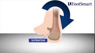 What is Supination [upl. by Razal]