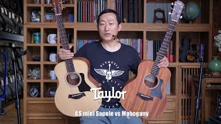 Taylor GS mini Sapele VS Mahogany 2024 guitarsreview 吉他评测 [upl. by Adnyl]