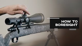 How to boresight a rifle  NIOA TV [upl. by Schiffman]