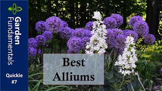 Best Alliums in my June Garden ⏳⌚️⌛️ Garden Quickie 7 [upl. by Yenmor607]