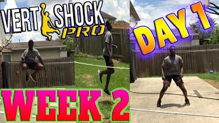 VERT SHOCK Pro Shock PhaseWeek 2 Day 1FOLLOW ALONG Vert Shock Day 8 Workouts [upl. by Leahcim894]