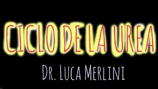 Ciclo de la Urea [upl. by Darren615]