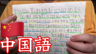 【語学】ただ、自己流に中国語を勉強するだけの動画 [upl. by Horvitz]