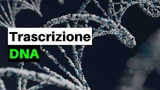 Un DOGMA nella BIOLOGIA La trascrizione del DNA nei procarioti e negli eucarioti [upl. by Freyah]