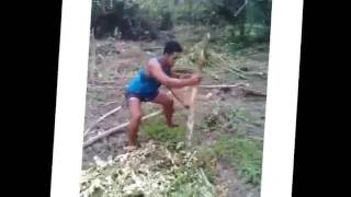 Funny Samoan Dance PlantTaroChallenge [upl. by Ylenaj]